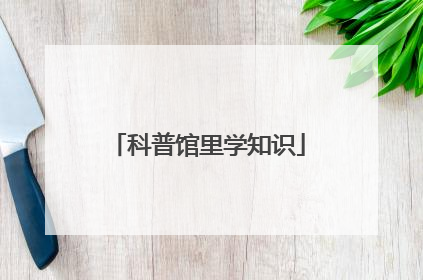 科普馆里学知识