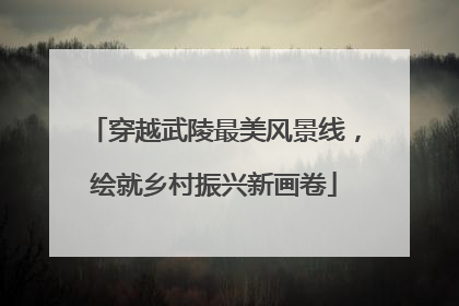 穿越武陵最美风景线，绘就乡村振兴新画卷