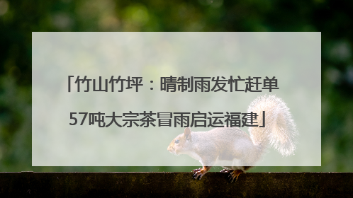 竹山竹坪：晴制雨发忙赶单 57吨大宗茶冒雨启运福建