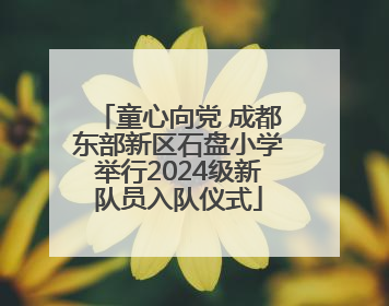 童心向党 成都东部新区石盘小学举行2024级新队员入队仪式