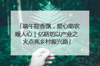 端午粽香飘，爱心助农暖人心｜亿膳坊以产业之火点亮乡村振兴路