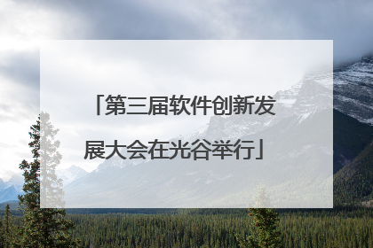 第三届软件创新发展大会在光谷举行