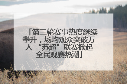第三轮赛事热度继续攀升，场均观众突破万人 “苏超”联赛掀起全民观赛热潮