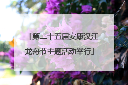 第二十五届安康汉江龙舟节主题活动举行