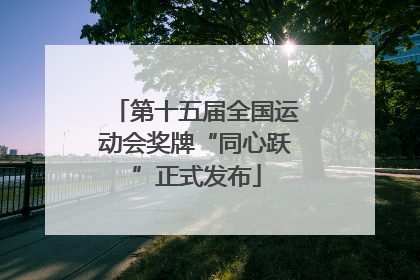 第十五届全国运动会奖牌“同心跃”正式发布