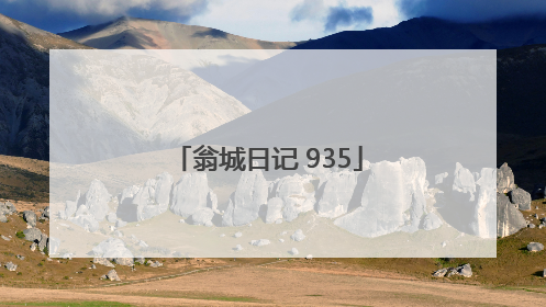 翁城日记 935