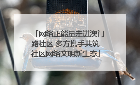 网络正能量走进澳门路社区 多方携手共筑社区网络文明新生态