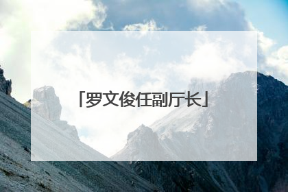 罗文俊任副厅长