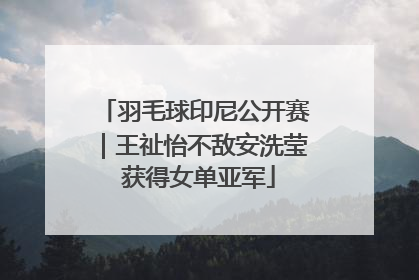羽毛球印尼公开赛｜王祉怡不敌安洗莹 获得女单亚军