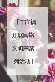 羊庄镇开展网络文明周系列活动
