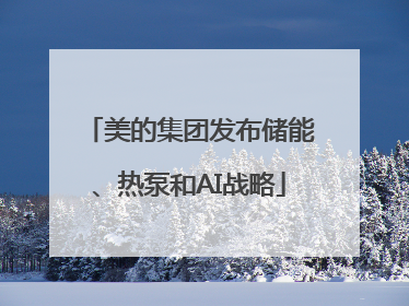 美的集团发布储能、热泵和AI战略