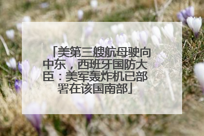 美第三艘航母驶向中东，西班牙国防大臣：美军轰炸机已部署在该国南部