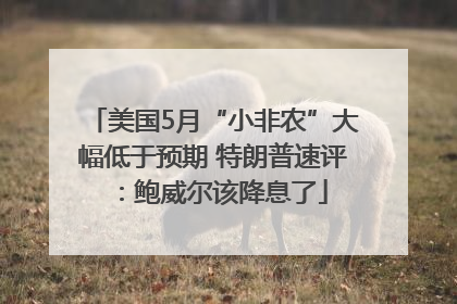 美国5月“小非农”大幅低于预期 特朗普速评：鲍威尔该降息了