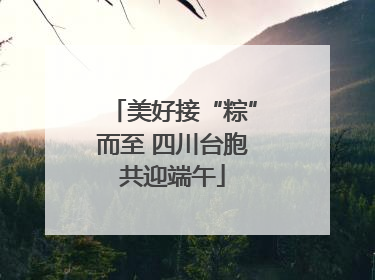 美好接“粽”而至 四川台胞共迎端午