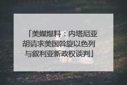 美媒爆料：内塔尼亚胡请求美国斡旋以色列与叙利亚新政权谈判