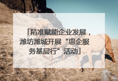 精准赋能企业发展，潍坊潍城开展“惠企服务基层行”活动