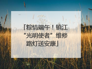 粽情端午！镇江“光明使者”维修路灯送安康