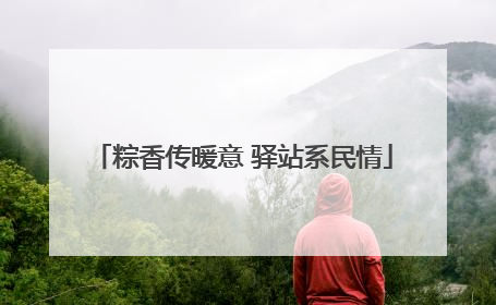粽香传暖意 驿站系民情
