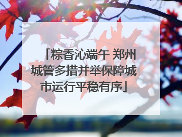 粽香沁端午 郑州城管多措并举保障城市运行平稳有序