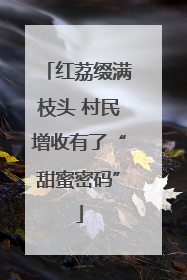 红荔缀满枝头 村民增收有了“甜蜜密码”