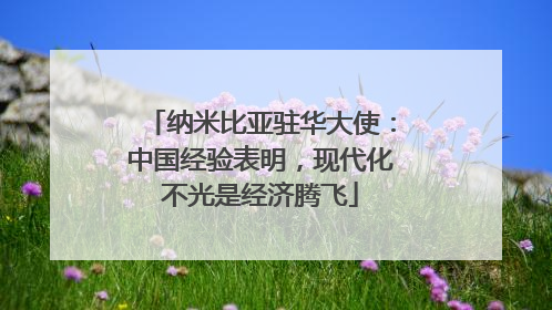纳米比亚驻华大使：中国经验表明，现代化不光是经济腾飞