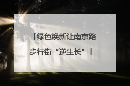 绿色焕新让南京路步行街“逆生长”