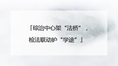 综治中心架“法桥”，检法联动护“学途”