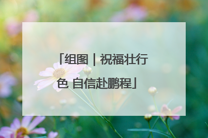 组图｜祝福壮行色 自信赴鹏程