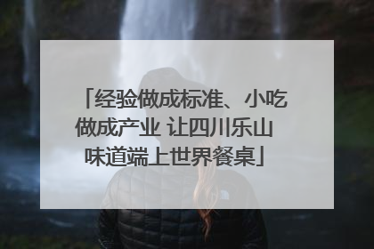 经验做成标准、小吃做成产业 让四川乐山味道端上世界餐桌