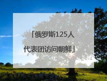 俄罗斯125人代表团访问朝鲜