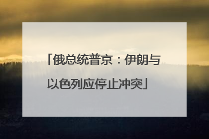 俄总统普京：伊朗与以色列应停止冲突