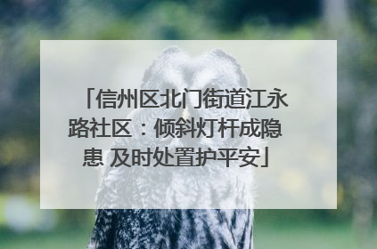 信州区北门街道江永路社区：倾斜灯杆成隐患 及时处置护平安