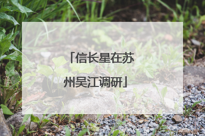 信长星在苏州吴江调研