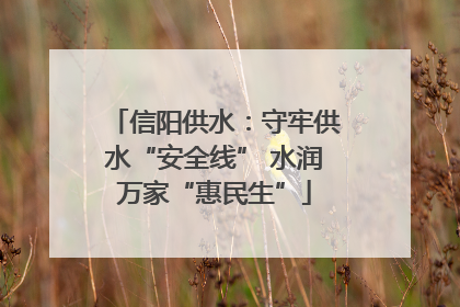 信阳供水：守牢供水“安全线” 水润万家“惠民生”