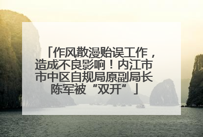 作风散漫贻误工作，造成不良影响！内江市市中区自规局原副局长陈军被“双开”