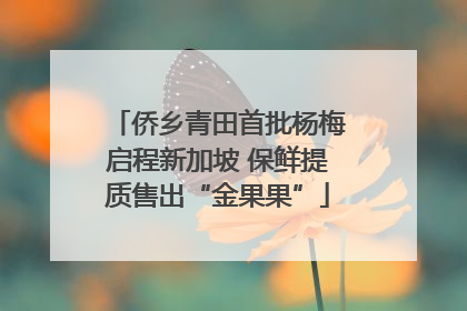 侨乡青田首批杨梅启程新加坡 保鲜提质售出“金果果”