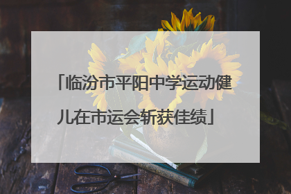临汾市平阳中学运动健儿在市运会斩获佳绩