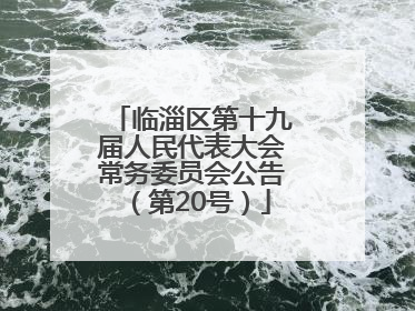临淄区第十九届人民代表大会常务委员会公告（第20号）