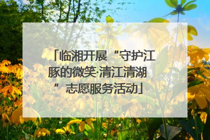 临湘开展“守护江豚的微笑·清江清湖”志愿服务活动