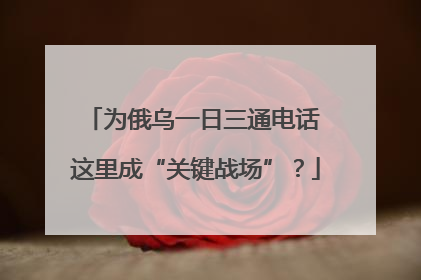 为俄乌一日三通电话 这里成“关键战场”？