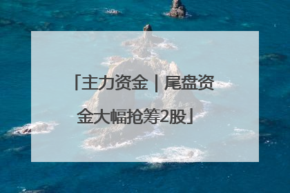 主力资金｜尾盘资金大幅抢筹2股