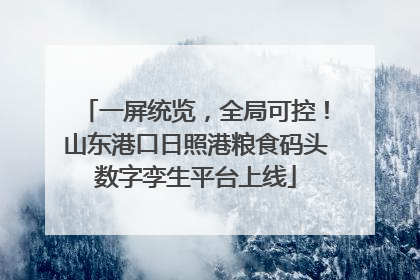 一屏统览，全局可控！山东港口日照港粮食码头数字孪生平台上线