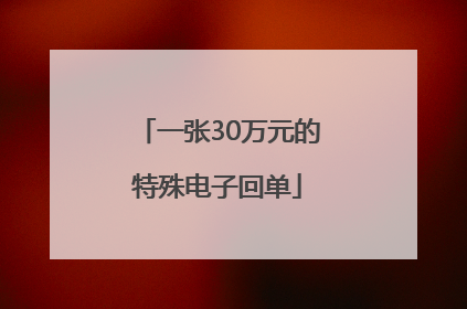 一张30万元的特殊电子回单