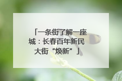 一条街了解一座城：长春百年新民大街“焕新”