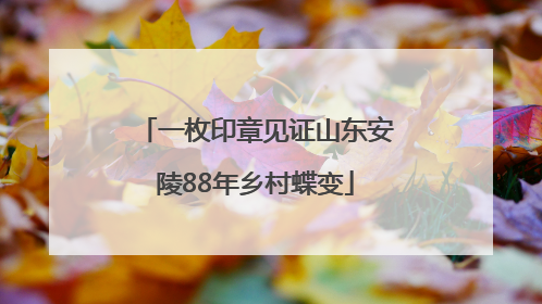 一枚印章见证山东安陵88年乡村蝶变