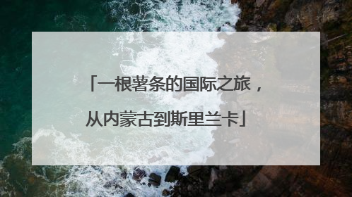 一根薯条的国际之旅，从内蒙古到斯里兰卡