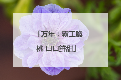 万年：霸王脆桃 口口鲜甜