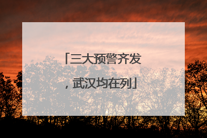 三大预警齐发，武汉均在列