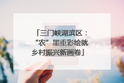 三门峡湖滨区：“农”墨重彩绘就乡村振兴新画卷