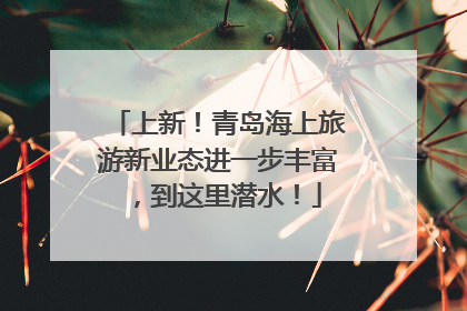 上新！青岛海上旅游新业态进一步丰富，到这里潜水！